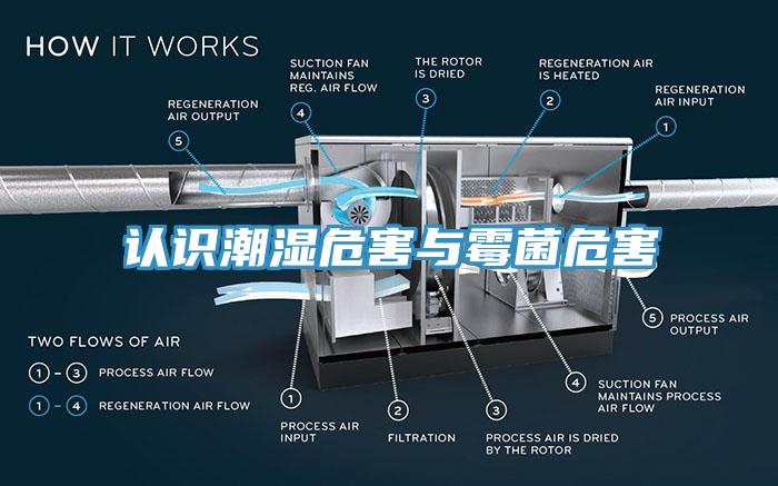 認識潮濕危害與黴菌危害