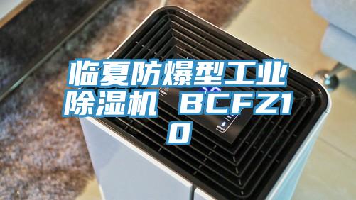 臨夏防爆型工業草莓小视频黄色 BCFZ10