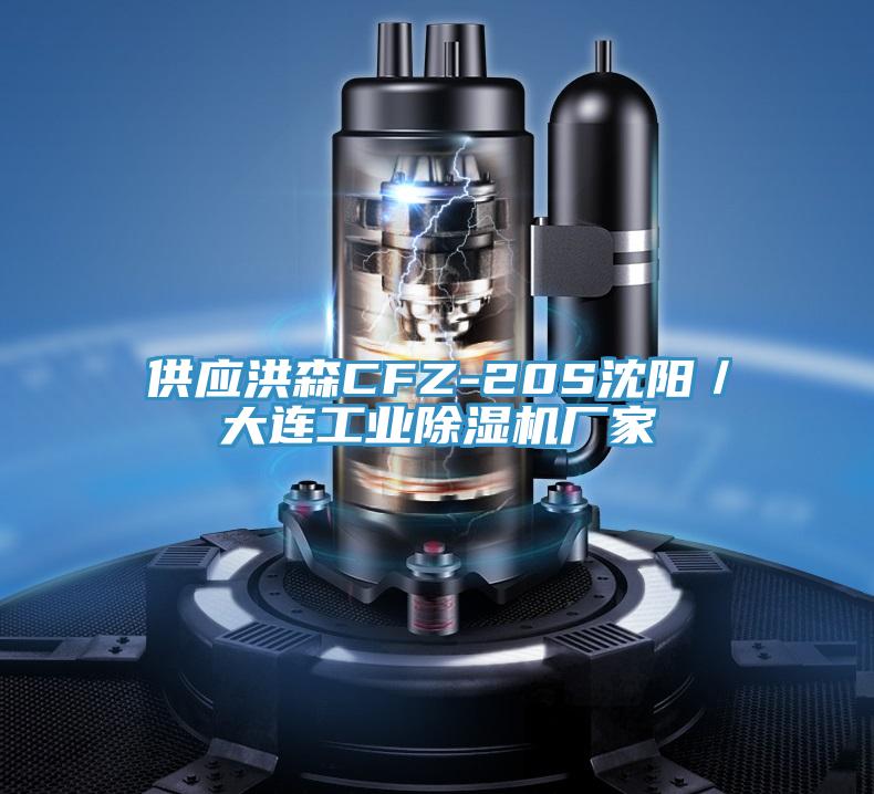 供應洪森CFZ-20S沈陽／大連工業草莓小视频黄色廠家