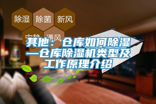 其他：倉庫如何除濕—倉庫草莓小视频黄色類型及工作原理介紹