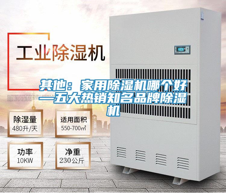 其他：家用草莓小视频黄色哪個好—五大熱銷知名品牌草莓小视频黄色