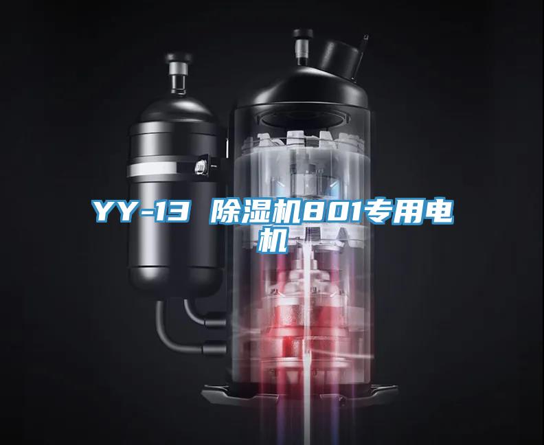 YY-13 草莓小视频黄色801專用電機