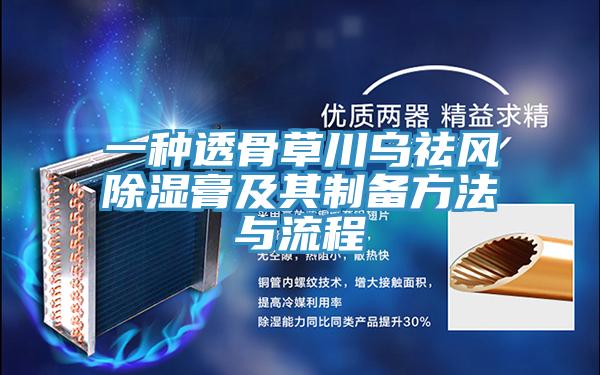 一種透骨草川烏祛風除濕膏及其製備方法與流程