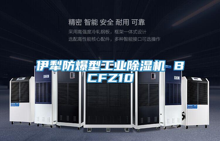 伊犁防爆型工業草莓小视频黄色 BCFZ10