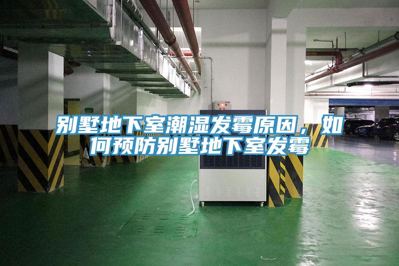 別墅地下室潮濕發黴原因，如何預防別墅地下室發黴