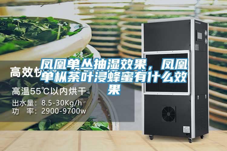 鳳凰單叢抽濕效果，鳳凰單樅荼葉浸蜂蜜有什麽效果