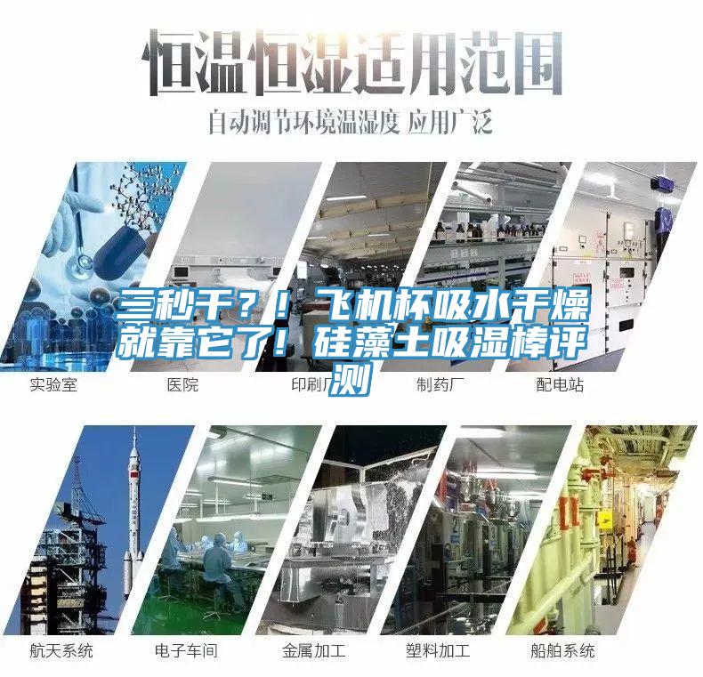 三秒幹？! 飛機杯吸水幹燥就靠它了! 矽藻土吸濕棒評測