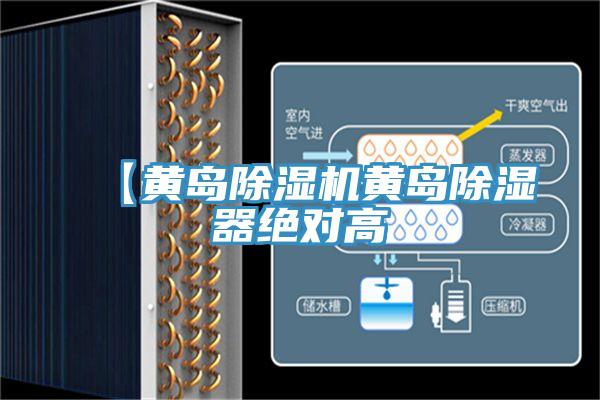 【黃島草莓小视频黄色黃島除濕器絕對高