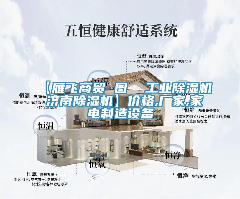 【雁飛商貿 圖  工業草莓小视频黄色 濟南草莓小视频黄色】價格,廠家,家電製造設備