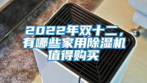 2022年雙十二，有哪些家用草莓小视频黄色值得購買