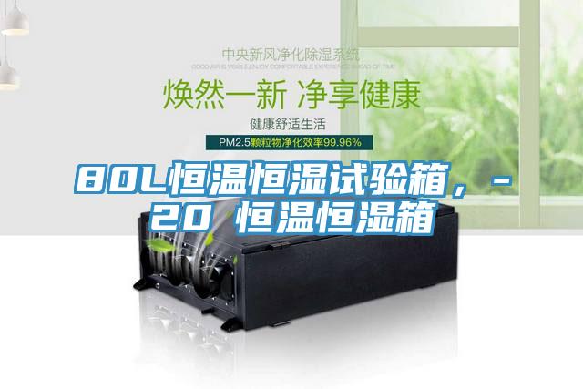 80L恒溫恒濕試驗箱，-20℃恒溫恒濕箱