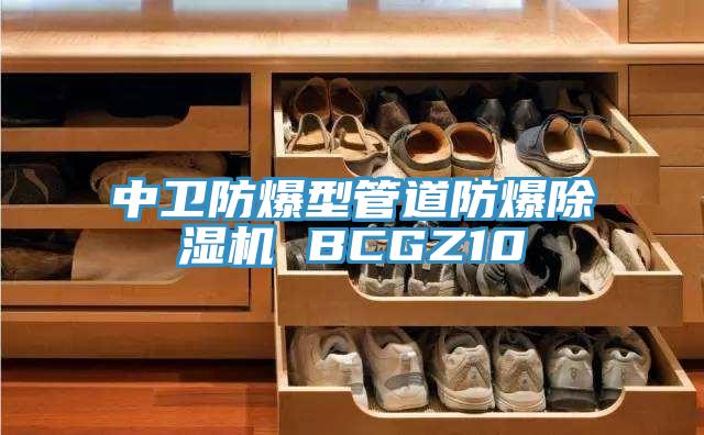 中衛防爆型管道防爆草莓小视频黄色 BCGZ10