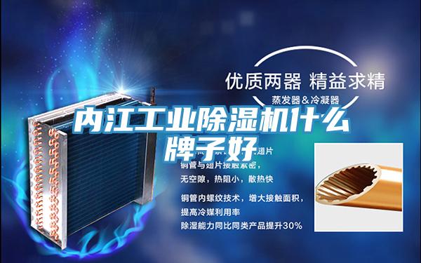 內江工業草莓小视频黄色什麽牌子好