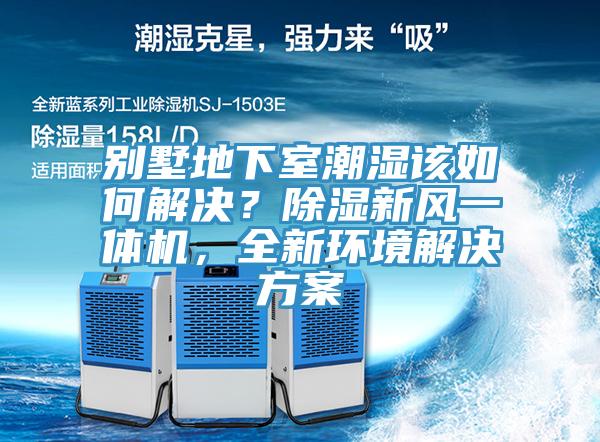 別墅地下室潮濕該如何解決？除濕新風一體機，全新環境解決方案