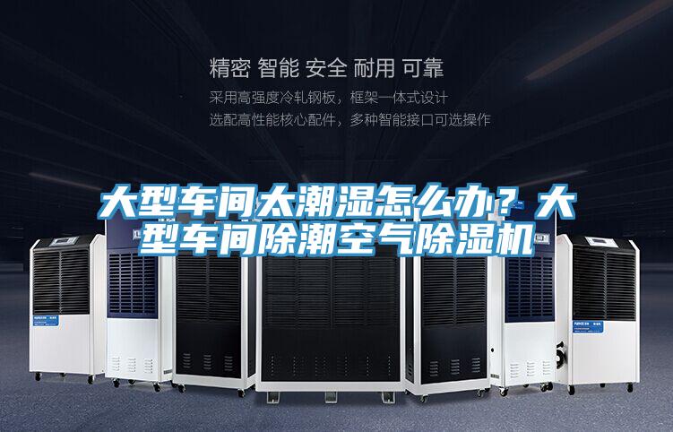 大型車間太潮濕怎麽辦？大型車間除潮空氣草莓小视频黄色