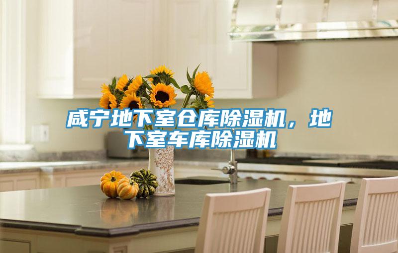 鹹寧地下室倉庫草莓小视频黄色，地下室車庫草莓小视频黄色