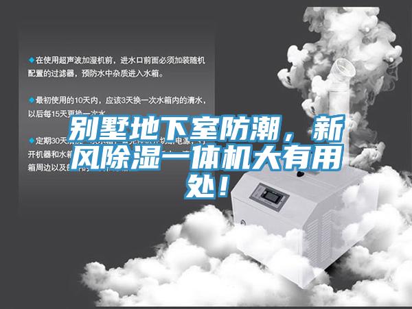別墅地下室防潮，新風除濕一體機大有用處！