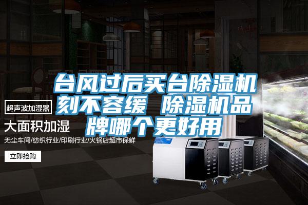 台風過後買台草莓小视频黄色刻不容緩 草莓小视频黄色品牌哪個更好用