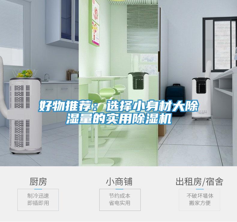 好物推薦：選擇小身材大除濕量的實用草莓小视频黄色