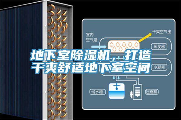 地下室草莓小视频黄色，打造幹爽舒適地下室空間