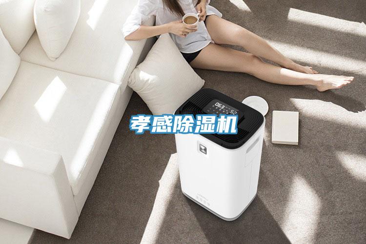 孝感草莓小视频黄色