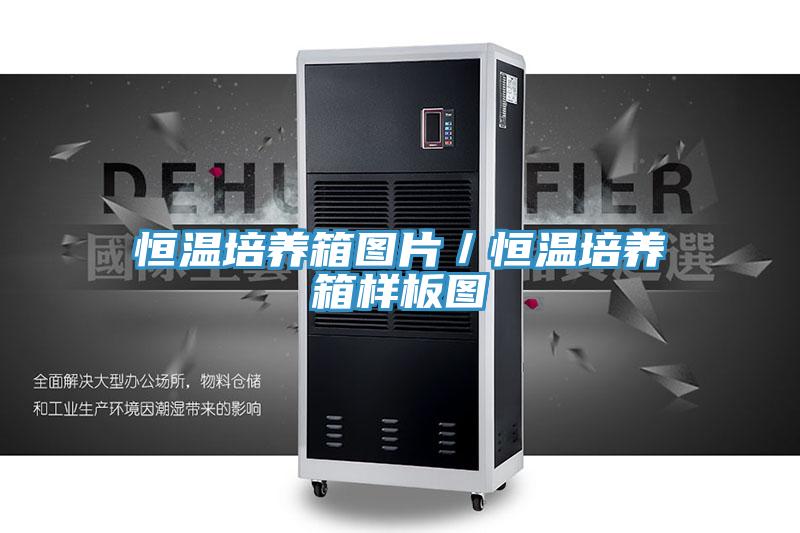 恒溫培養箱圖片/恒溫培養箱樣板圖