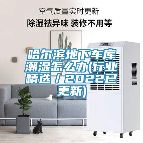 哈爾濱地下車庫潮濕怎麽辦(行業精選/2022已更新)