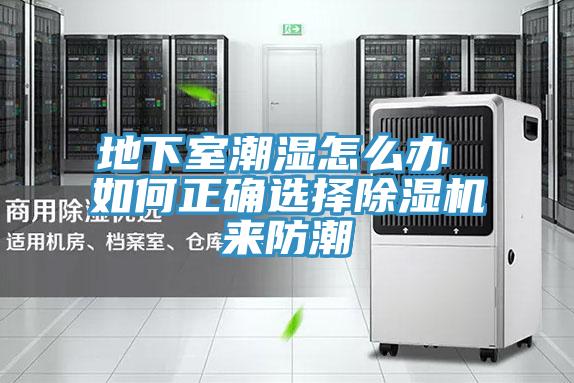 地下室潮濕怎麽辦 如何正確選擇草莓小视频黄色來防潮