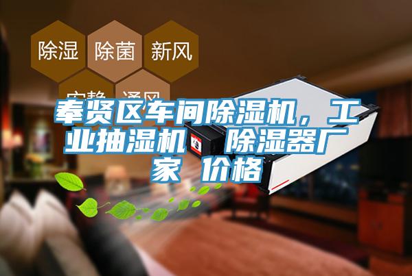 奉賢區車間草莓小视频黄色，工業抽濕機  除濕器廠家 價格