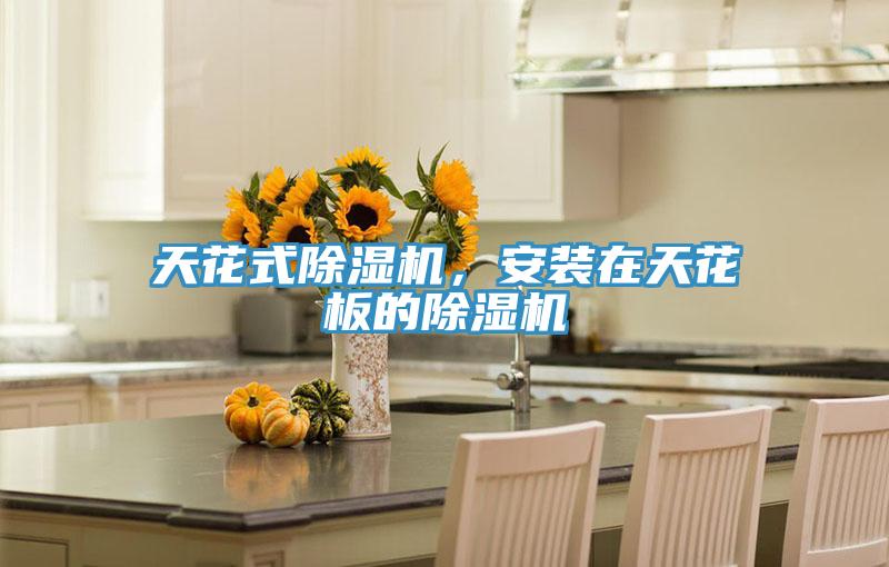 天花式草莓小视频黄色，安裝在天花板的草莓小视频黄色