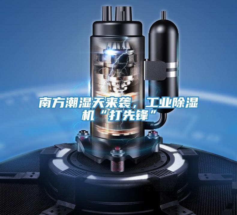 南方潮濕天來襲，工業草莓小视频黄色“打先鋒”