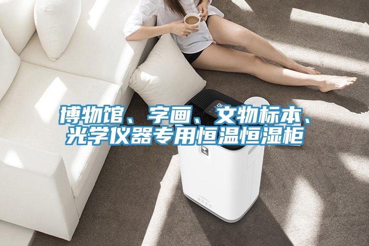 博物館、字畫、文物標本、光學儀器專用恒溫恒濕櫃