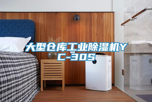 大型倉庫工業草莓小视频黄色YC-30S