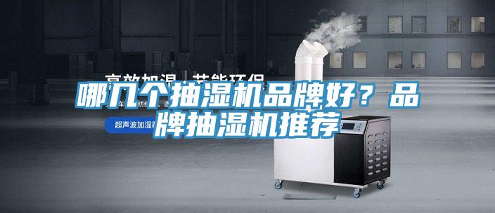 哪幾個抽濕機品牌好？品牌抽濕機推薦