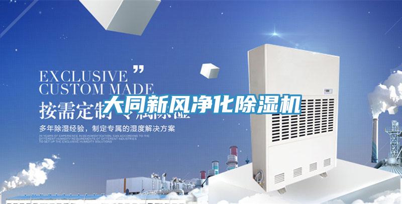 大同新風淨化草莓小视频黄色