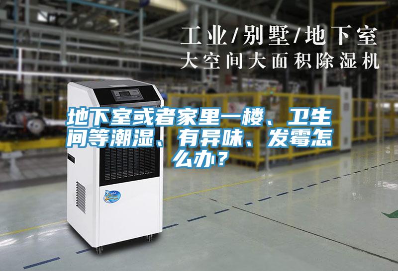 地下室或者家裏一樓、衛生間等潮濕、有異味、發黴怎麽辦？