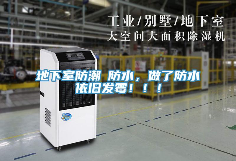 地下室防潮≠防水，做了防水依舊發黴！！！