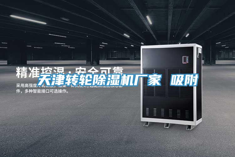 天津轉輪草莓小视频黄色廠家 吸附