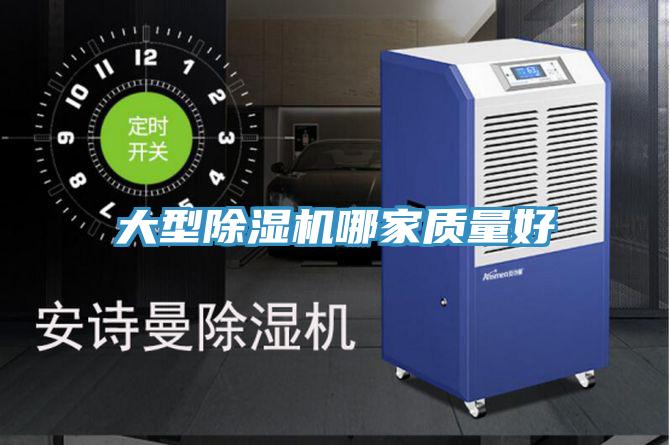 大型草莓小视频黄色哪家質量好