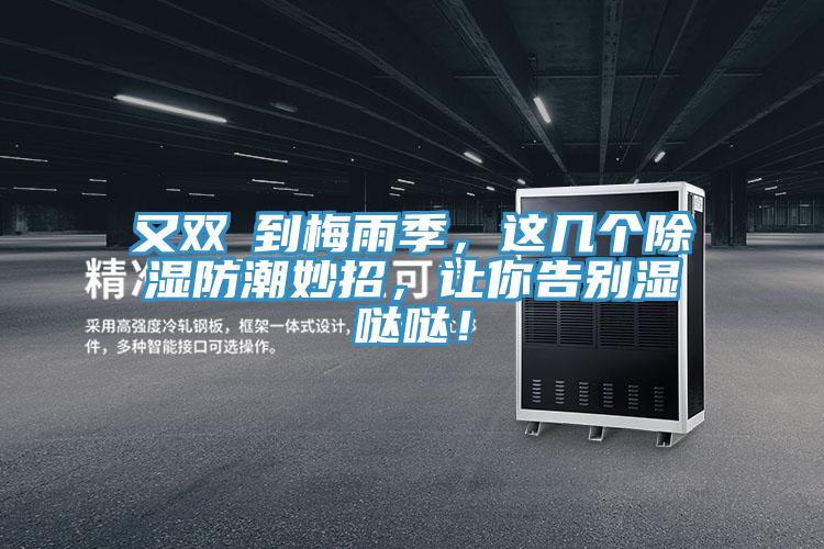 又雙叒到梅雨季，這幾個除濕防潮妙招，讓你告別濕噠噠！