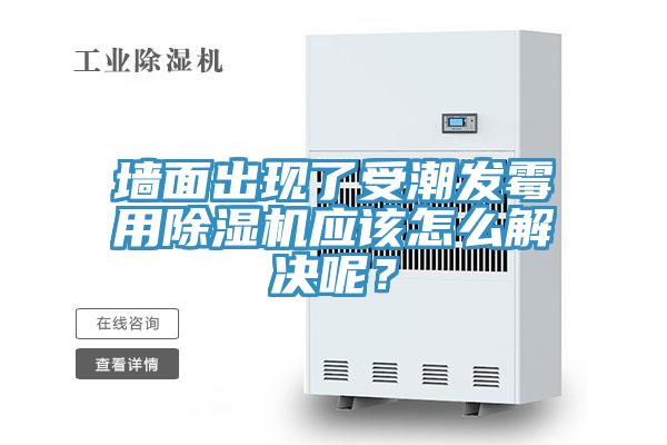 牆麵出現了受潮發黴用草莓小视频黄色應該怎麽解決呢？