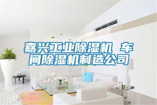 嘉興工業草莓小视频黄色 車間草莓小视频黄色製造公司