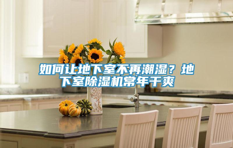 如何讓地下室不再潮濕？地下室草莓小视频黄色常年幹爽