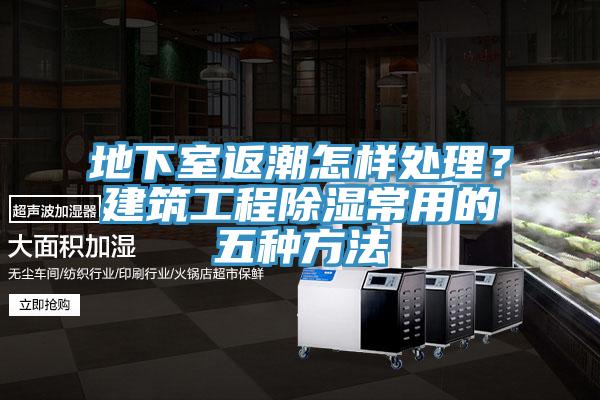 地下室返潮怎樣處理？建築工程除濕常用的五種方法