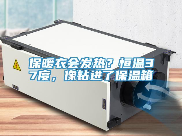 保暖衣會發熱？恒溫37度，像鑽進了保溫箱