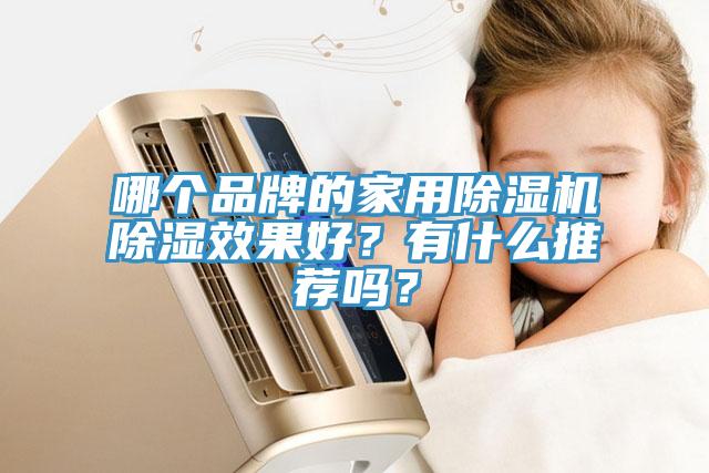 哪個品牌的家用草莓小视频黄色除濕效果好？有什麽推薦嗎？