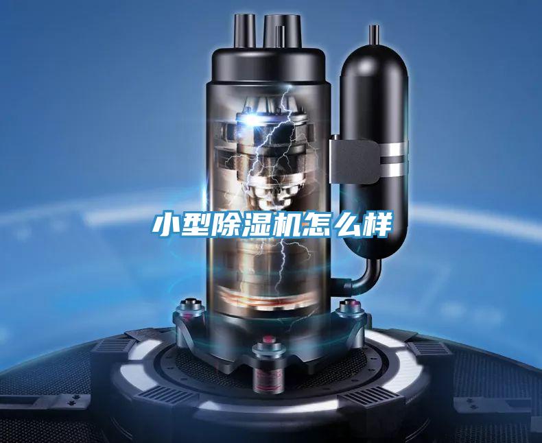 小型草莓小视频黄色怎麽樣