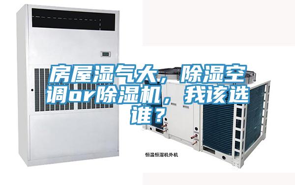 房屋濕氣大，除濕空調or草莓小视频黄色，我該選誰？