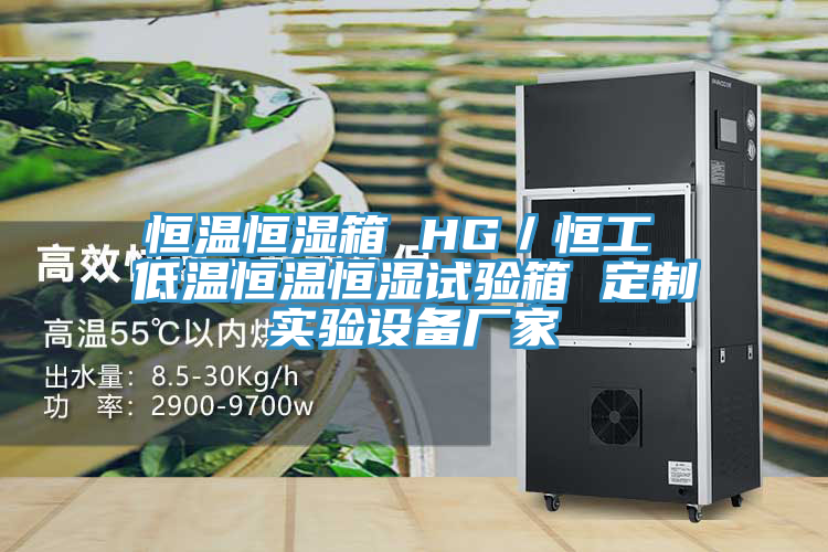 恒溫恒濕箱 HG/恒工 低溫恒溫恒濕試驗箱 定製實驗設備廠家