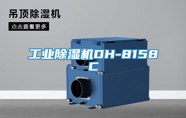 工業草莓小视频黄色DH-8158C